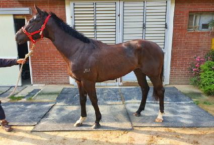 �ָ� ����