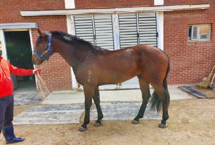 ���� ����