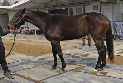 �����Ͻ� ����