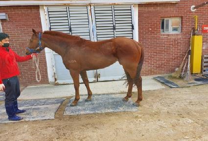 ��� ����