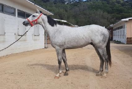 ����� ����