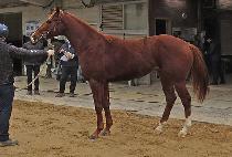 �����̽�Ÿ�� (SPICE TOWER) ����