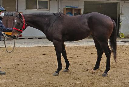 ������������ ����