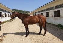 ���ƶ�ܴ��� (NALARA KKULDANJI) ����