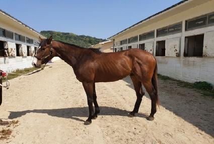 ���ƶ�ܴ��� ����