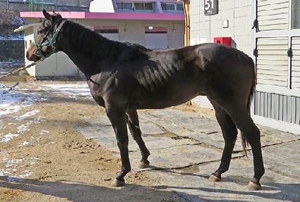 �׷���Ʈ���� ����