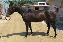 �ý����� (SISTER GEM) ����