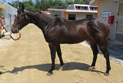 �ý����� ����