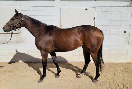 ������Ʈ ����