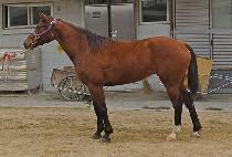 ĵ�𿩿� (CANDY YEOWANG) ����