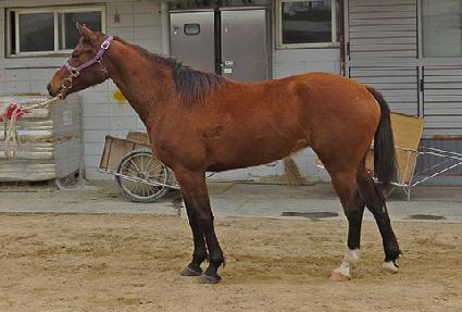 ĵ�𿩿� ����