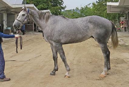 ���ڵ彺��Ʈ ����