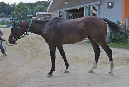 ����Ʈ��Ȳ ����