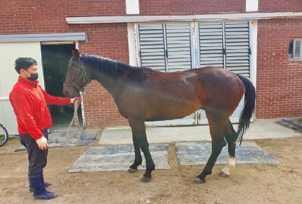 ����Įŷ ����