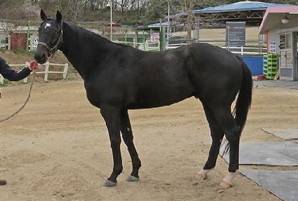 ���Ÿ�� ����