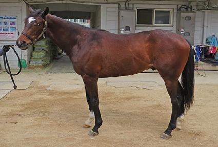 �߹������� ����