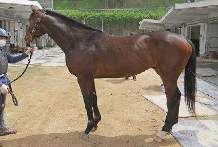 �߹������ ����