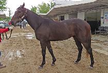 ���� (GWANGHAE) ����