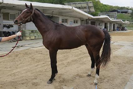 õ����ǳ ����