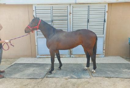 ���庸�� ����