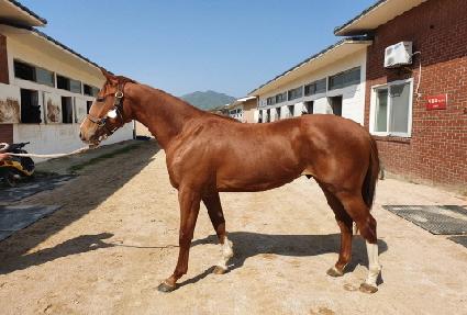 ������ ����