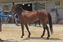 �������� (GUKJE GONGHANG) ����