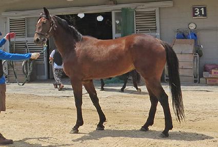 �������� ����