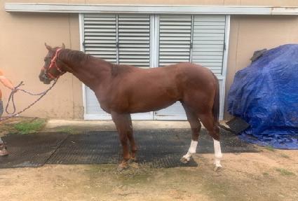 ���Ͼ���� ����