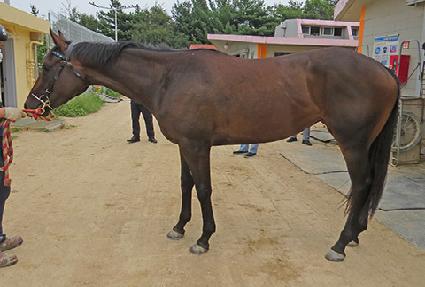 ����������Ʈ ����