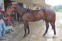 ���н��� (MUNHAK STORM) ����