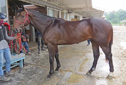 ���н��� ����