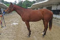 ���д��̾� (MUNHAK DIAL) ����