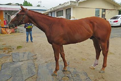 ������ ����