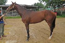 �������� (MUNHAK TAPIT) ����