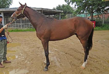 �������� ����