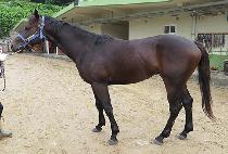 �����佺�� (MUNHAK TOSCO) ����