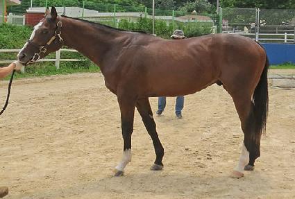 ȣũ������ ����