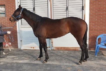 �ݾƽ���Ƽ ����