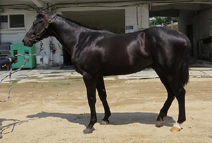 �����Ӵ� ����