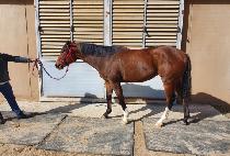 �޳ʸ� (KKUM NEOMEO) ����