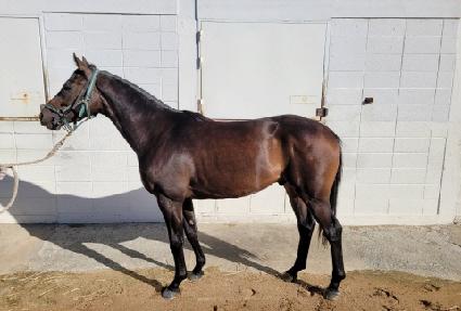 �����Ŀ� ����