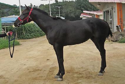 ���͵��� ����