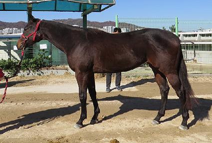 ���ε��� ����