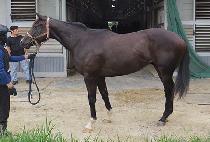 �������� (NURIDAY) ����