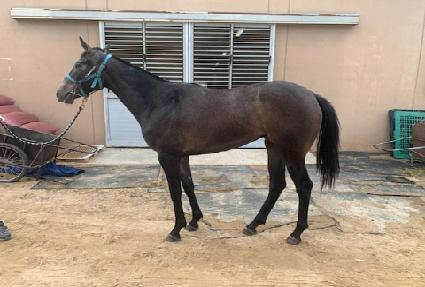 ���� ����