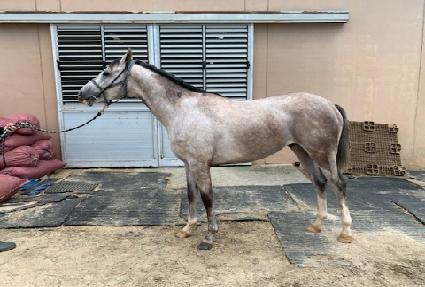 ������¡�� ����