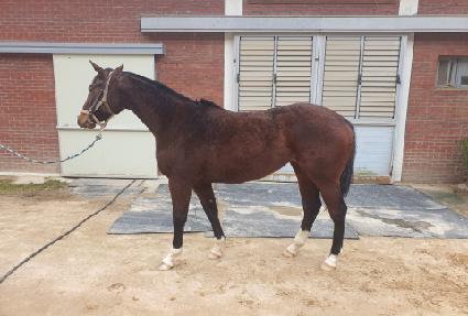 ������� ����