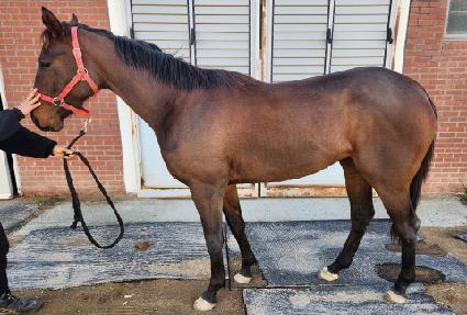 �������� ����