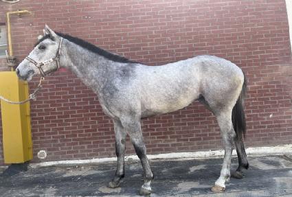 ȭ��Ʈ���� ����