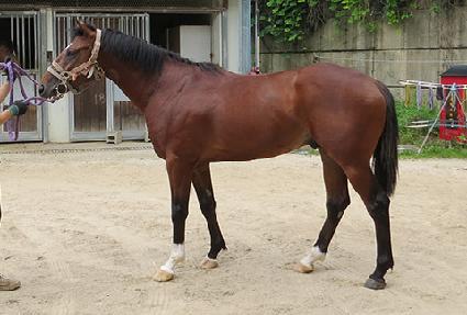 �������̿� ����